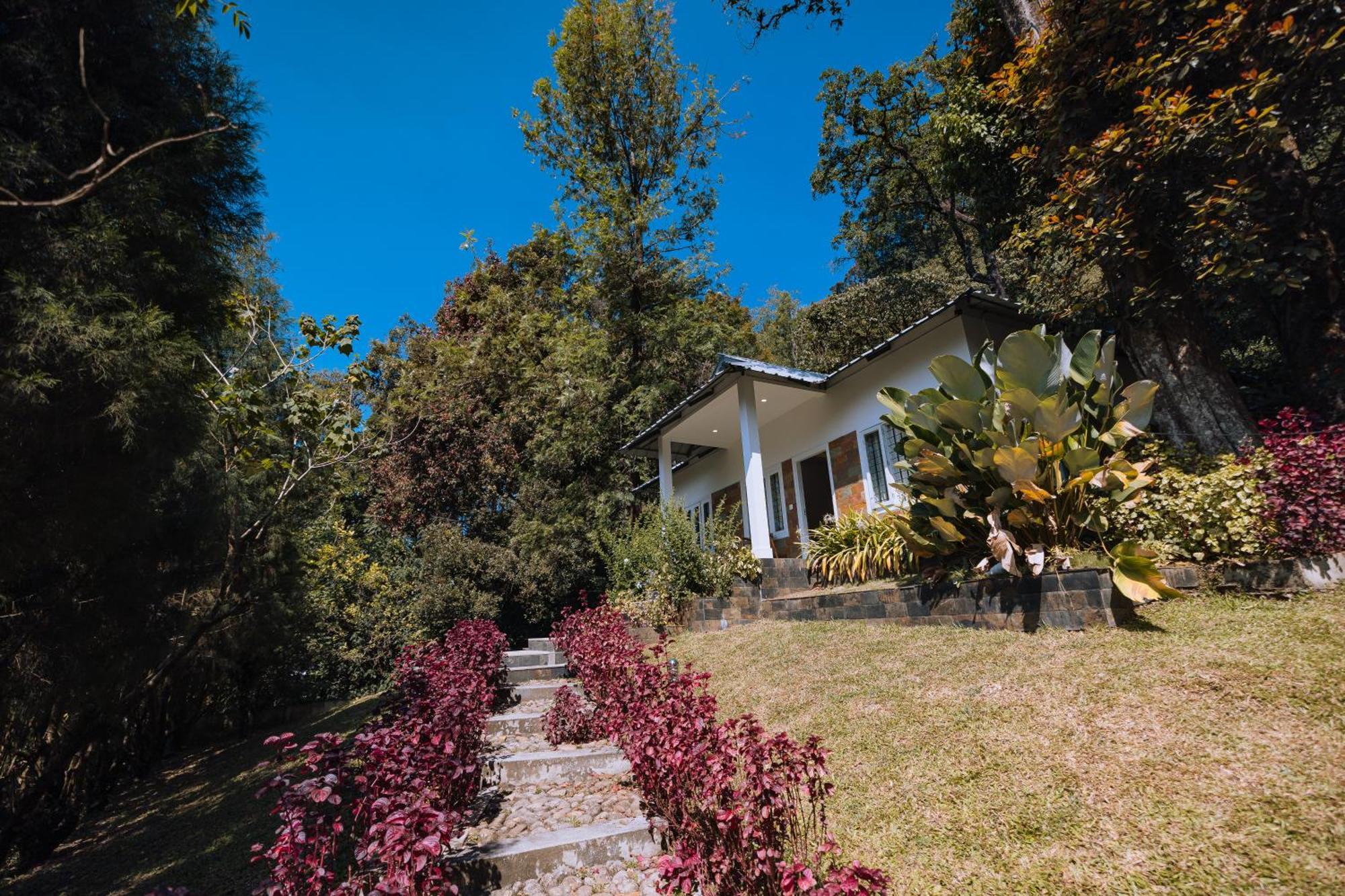 Elixir Woods Luxury Resort And Spa, Munnar Buitenkant foto