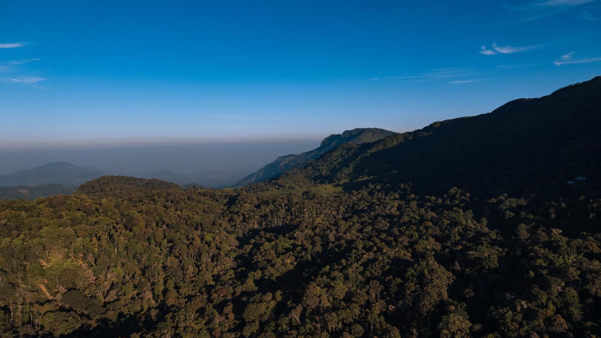Elixir Woods Luxury Resort And Spa, Munnar Buitenkant foto